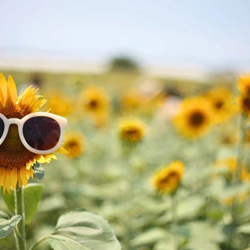 KW Region Real Estate Prices, Everything You Need to Know: 3rd Quarter Review 2024