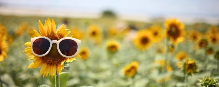 KW Region Real Estate Prices, Everything You Need &hellip;