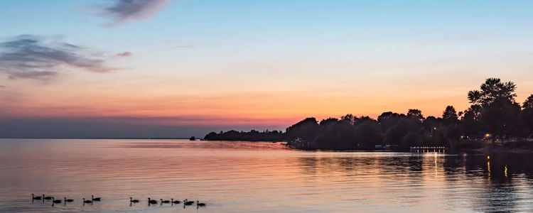 Lake Simcoe Waterfront Sales: 2024 Market Review