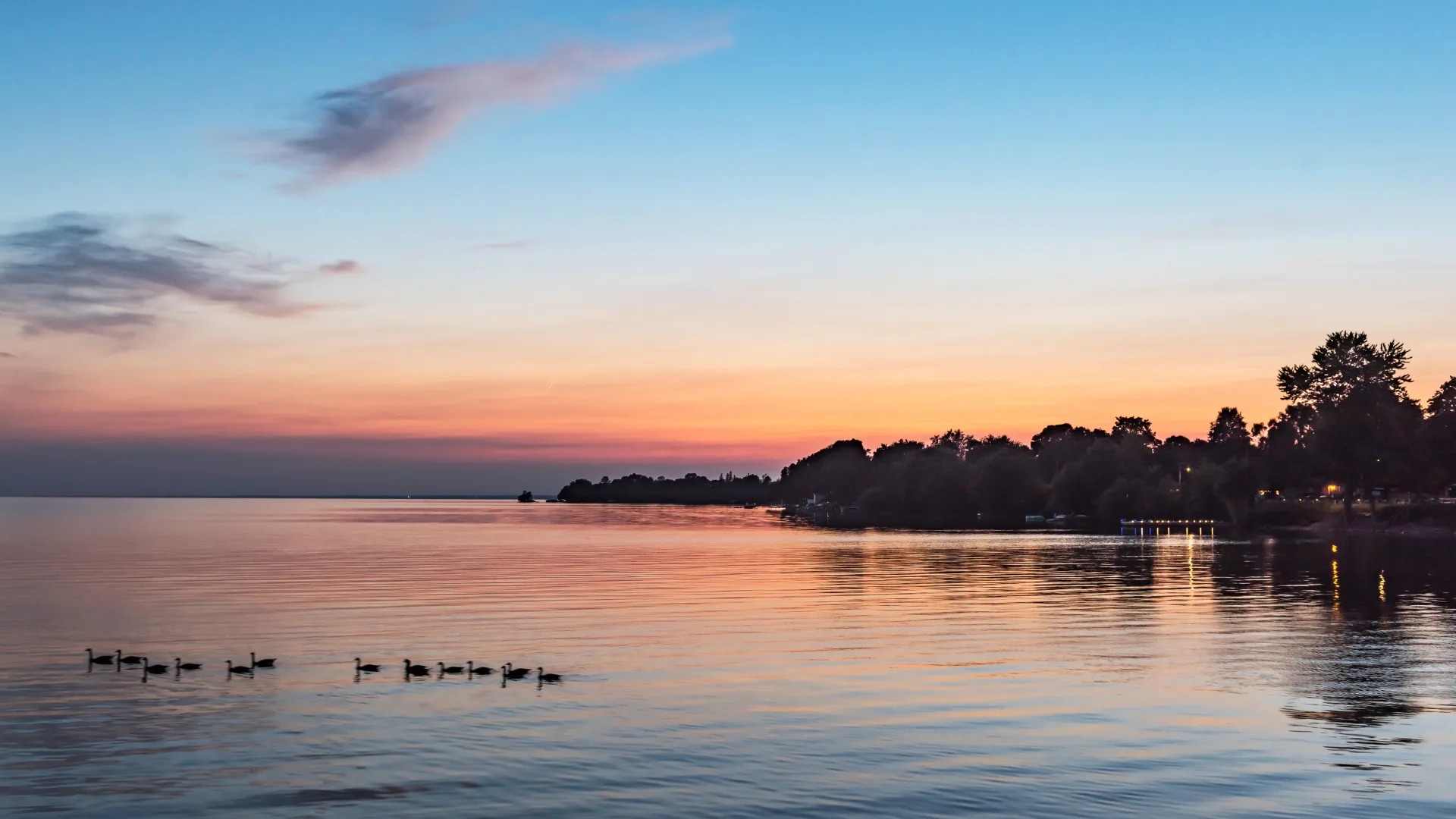 Pink-and-White-Palms-Desktop-Wal (2)