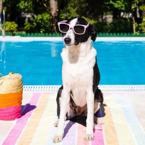 Stratford Real Estate Prices, Everything You Need to Know: 3rd Quarter Review 2024