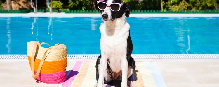 Stratford Real Estate Prices, Everything You Need to &hellip;