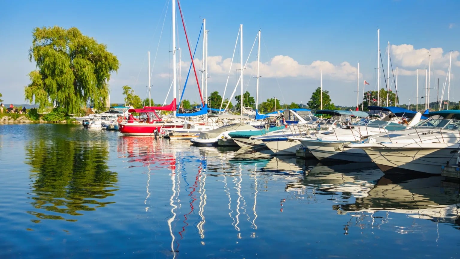Pink-and-White-Palms-Desktop-Wal (5)