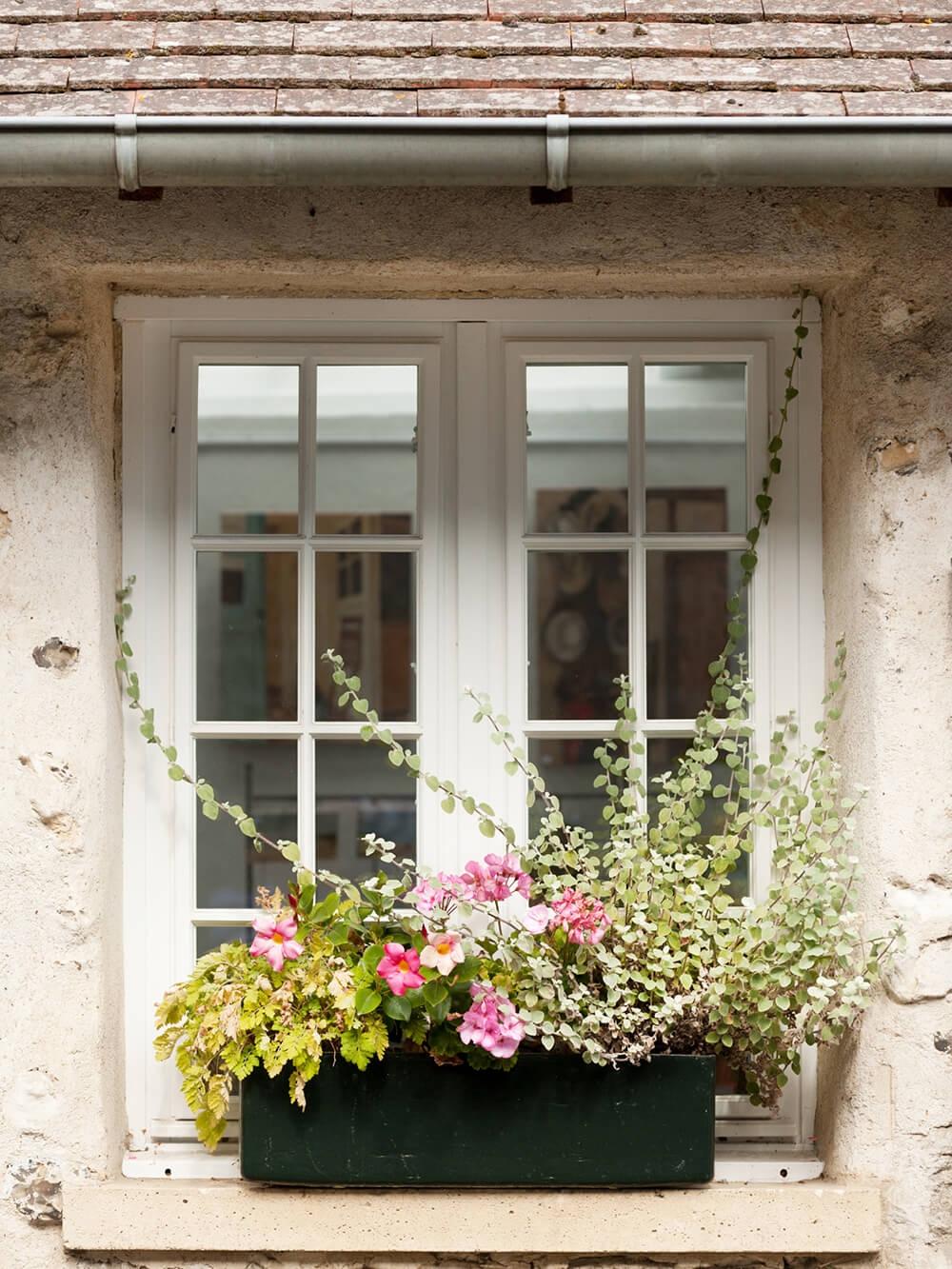 Premiere-Home-Buying-Experience-Photo