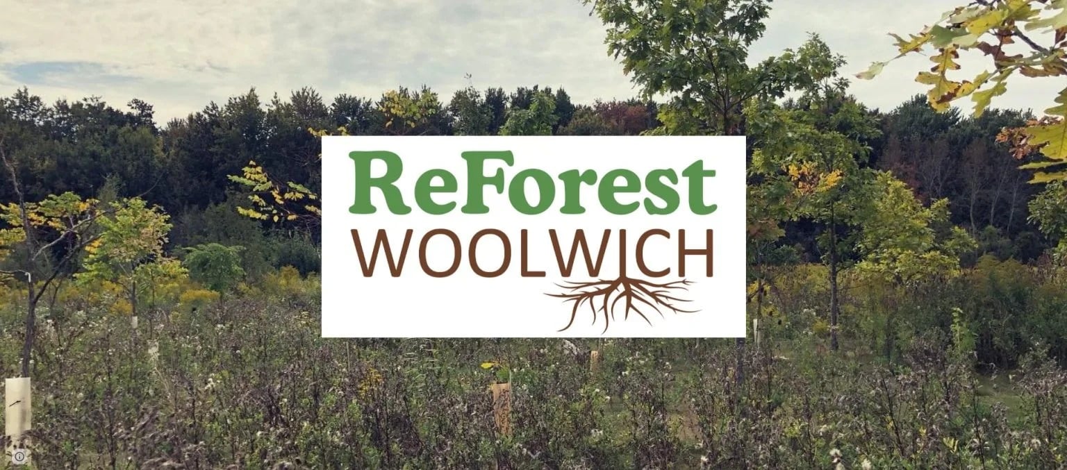 Screenshot-2025-06-26-174157-153