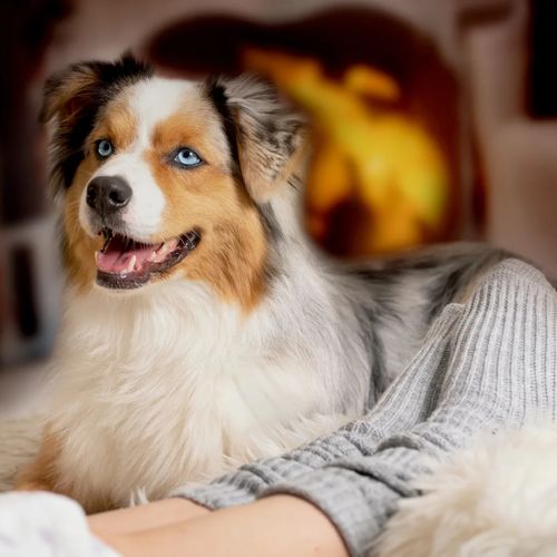 Stratford Real Estate: Year-End Review 2023