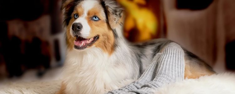 Stratford Real Estate: Year-End Review 2023