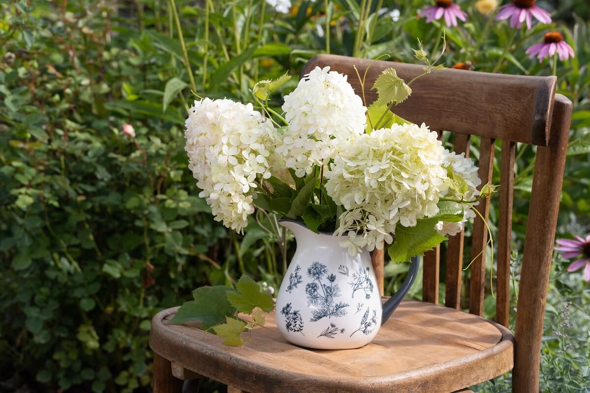 Want More Horizontal Photo