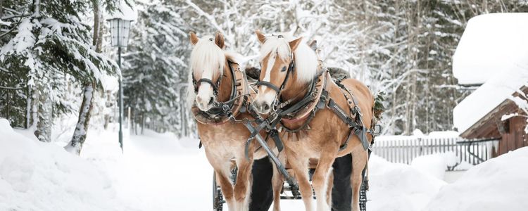 Stratford Real Estate Market Report (2021-2025)