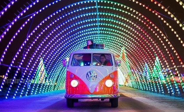 nights-of-lights-4425277-4060194