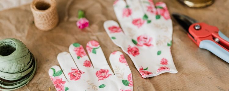 Indoor Gardening, It’s That Time!