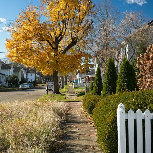 Best Dog-Friendly Neighborhoods in Richmond VA for Homeowners in 2026