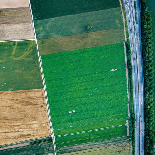 Goochland County Real Estate Market Report - Late July 2026: Inventory, Prices & Trends