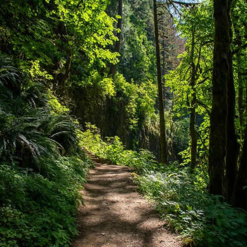 Best Neighborhoods for Outdoor Lovers in Richmond VA: Parks, Trails & Homes in 2026