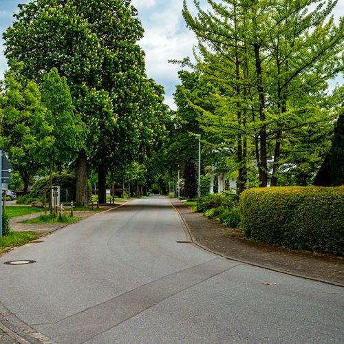 Westover Hills Richmond VA Neighborhood Guide 2026: Homes, Prices, and Why Buyers Love This Hidden Gem