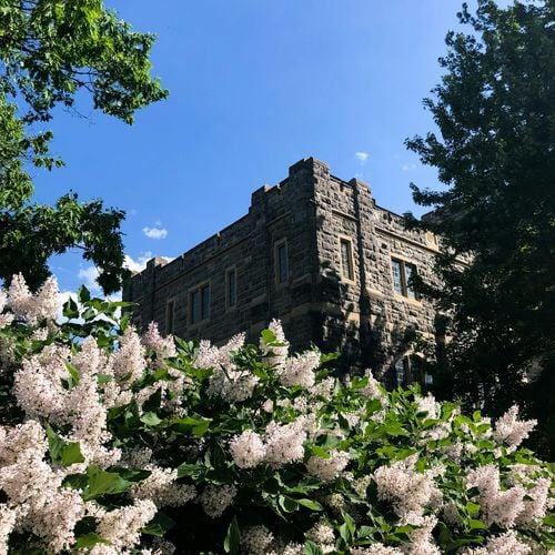 Moving to Richmond VA from Blacksburg: What to Know Before You Relocate