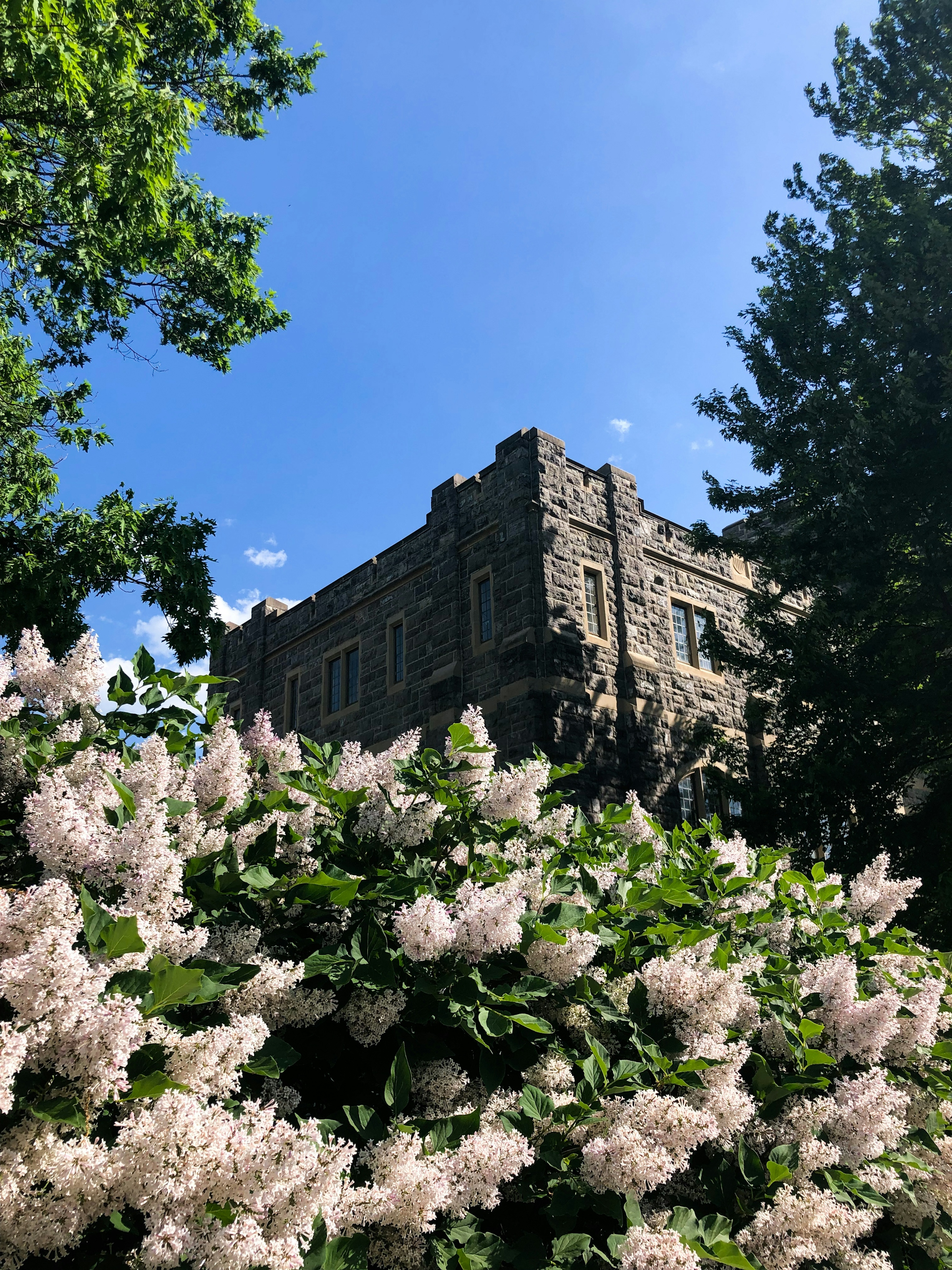 Moving to Richmond VA from Blacksburg: What to Know Before You Relocat&hellip;