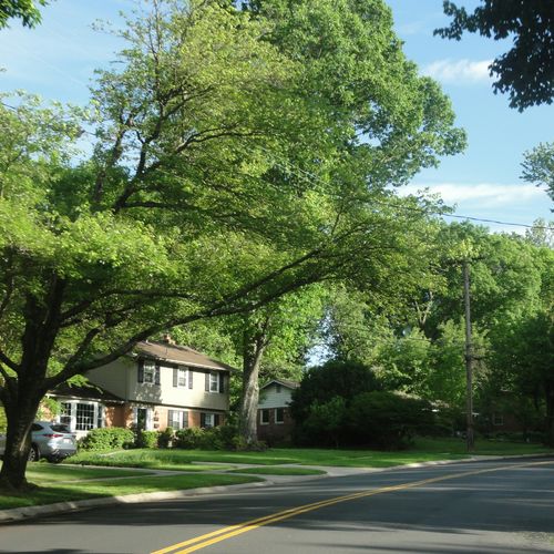 Living in Bon Air, Virginia: Schools, Parks, Prices & What Buyers Need to Know in 2026