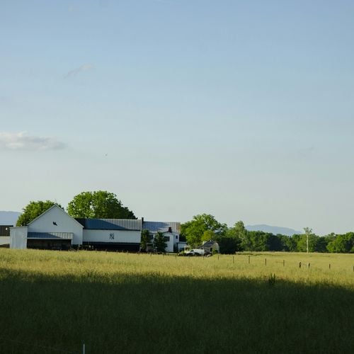 Buying Land or Acreage Near Richmond VA: What to Check Before You Build