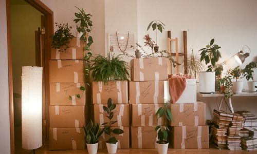 Moving to Richmond VA from Winchester: What to …