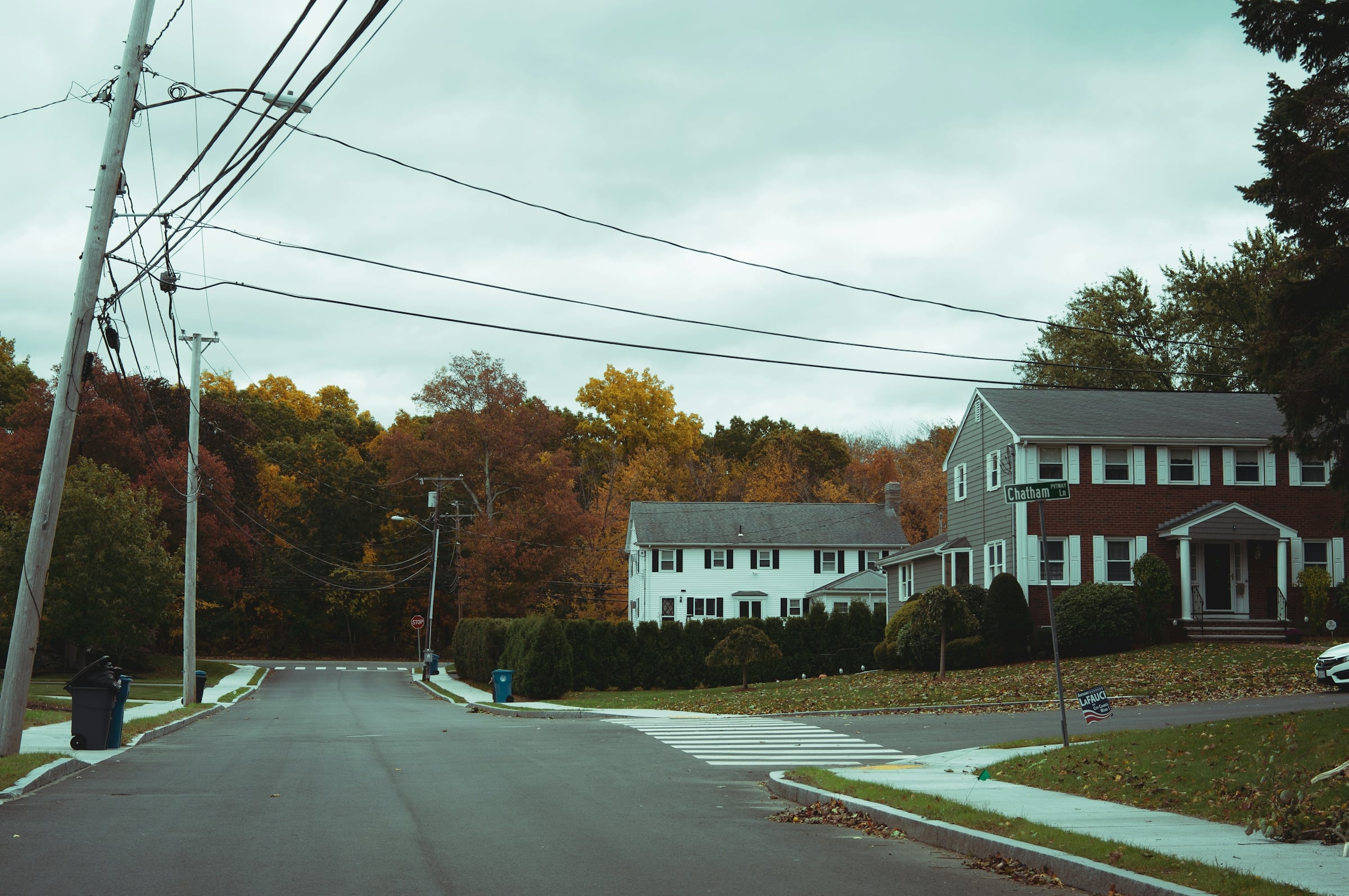 Quiet suburban street of white-siding and brick colonial homes with mature deciduous trees