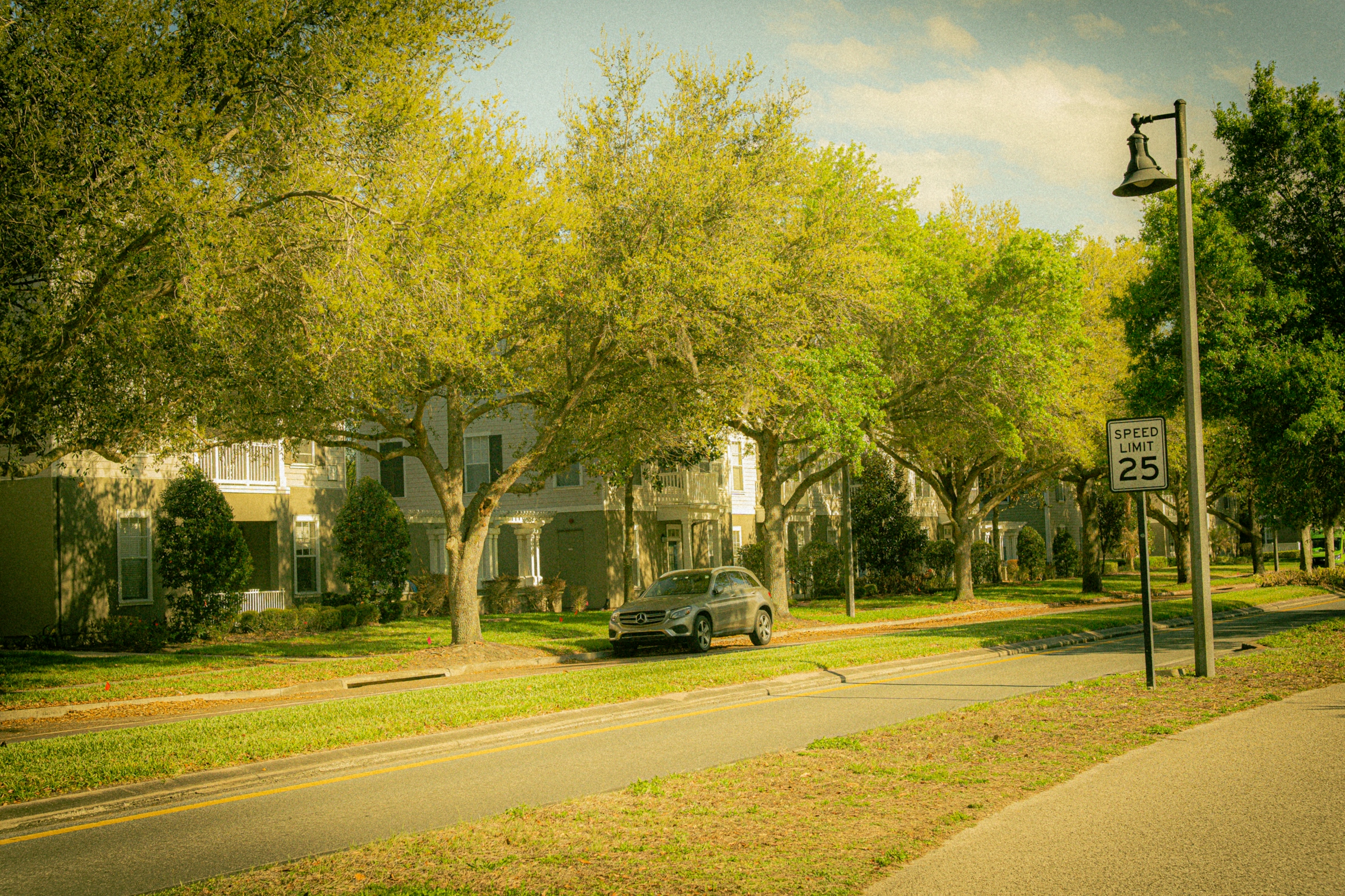 richmond-westhampton-tree-lined-street-1