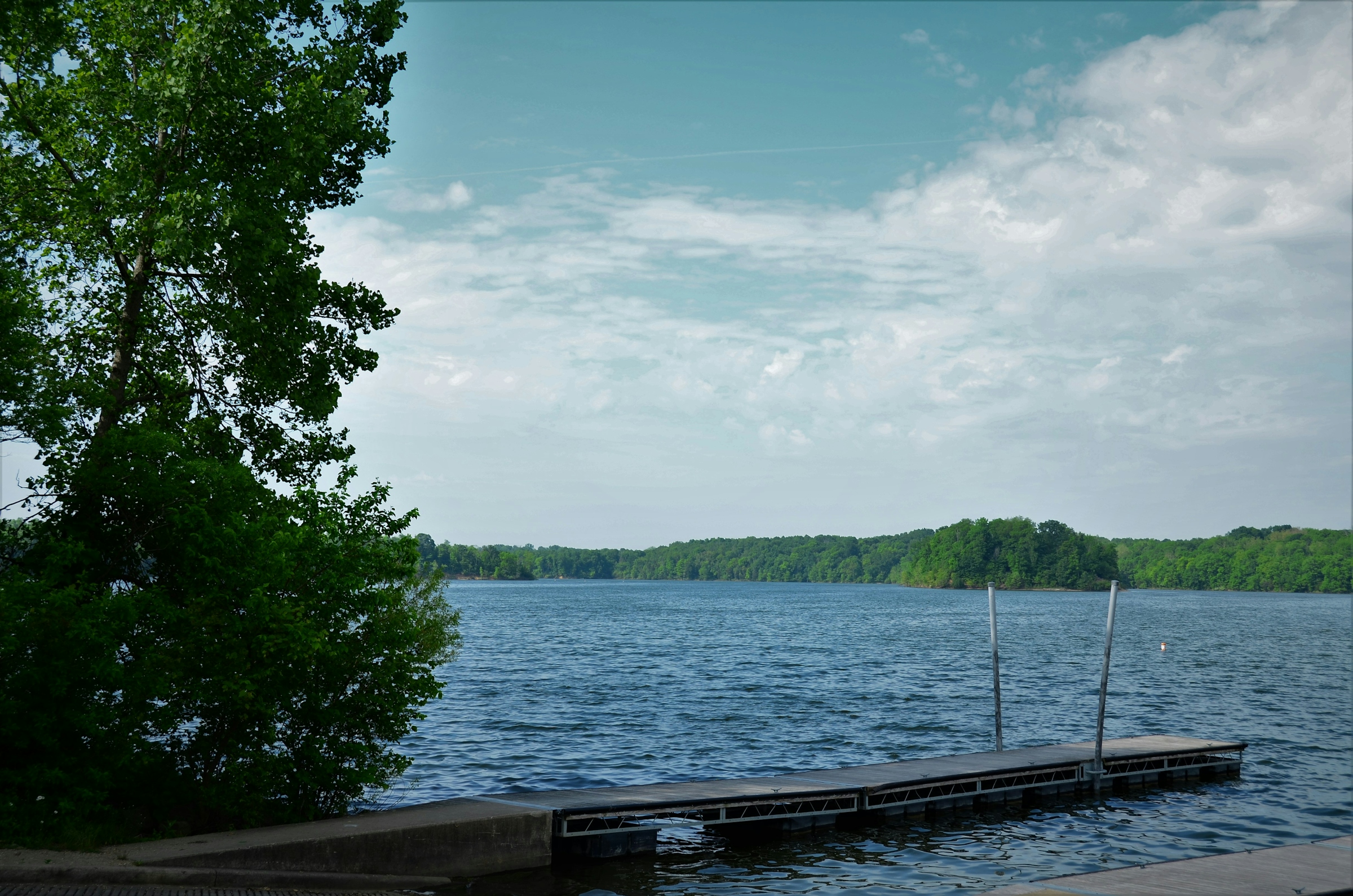 woodlake-chesterfield-va-lake-dock-wooded-shoreline