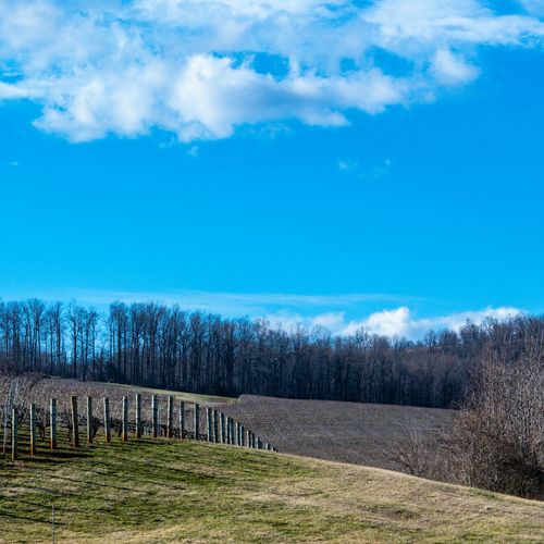 Goochland Backs a Scaled-Down Serenity Trail: Nine Homes on 110 Acres at Maidens Road