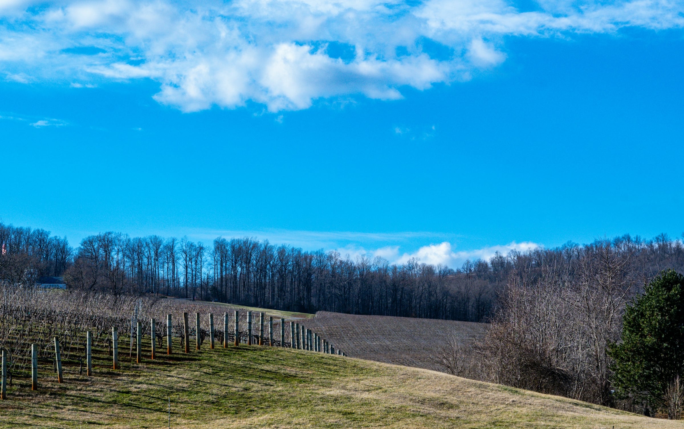 Open field with a wooden fence line and a bare treeline under a blue sky