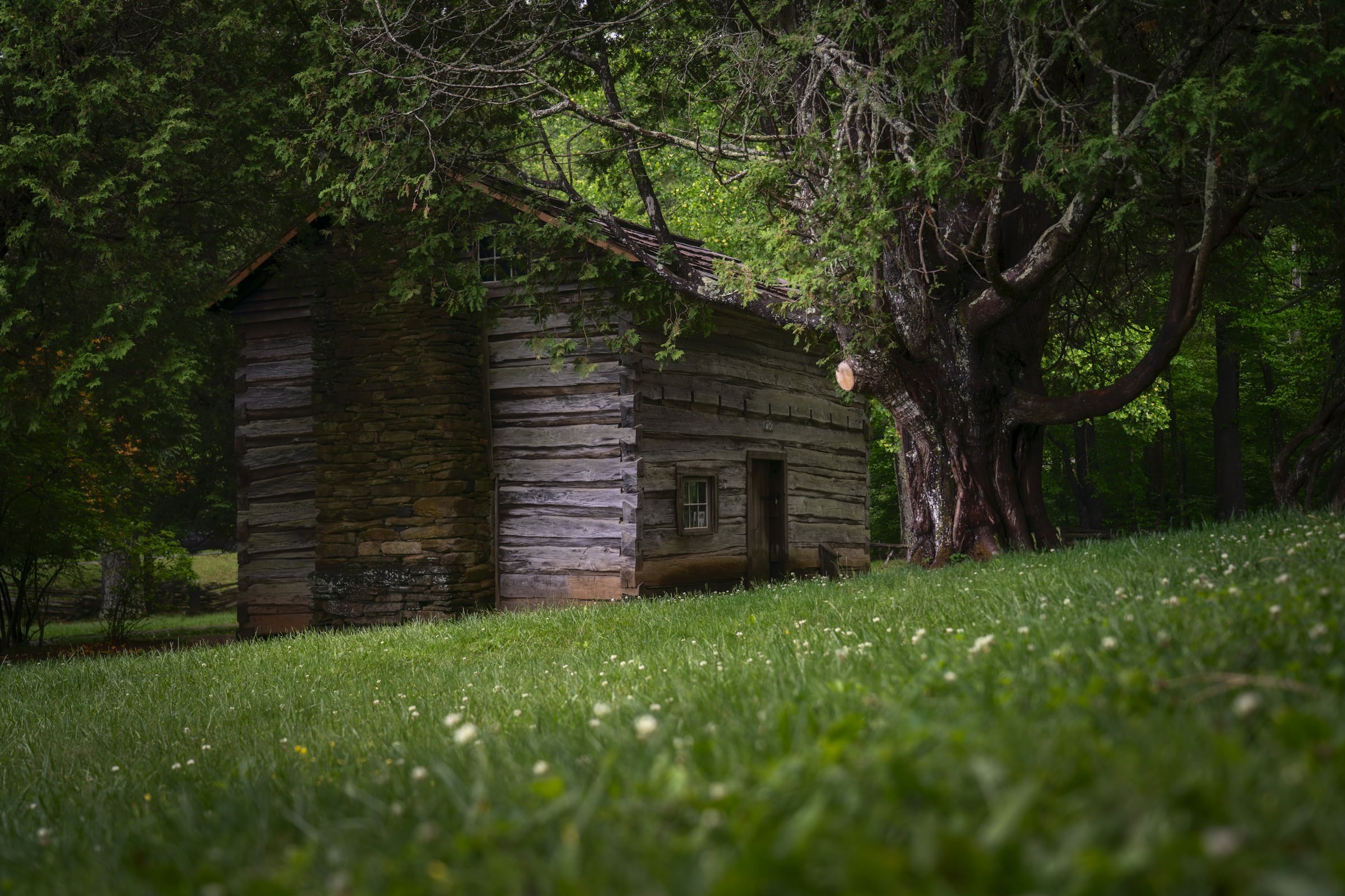 A weathered timber outbuilding standing under mature hardwood trees at the edge of a mown rural field.