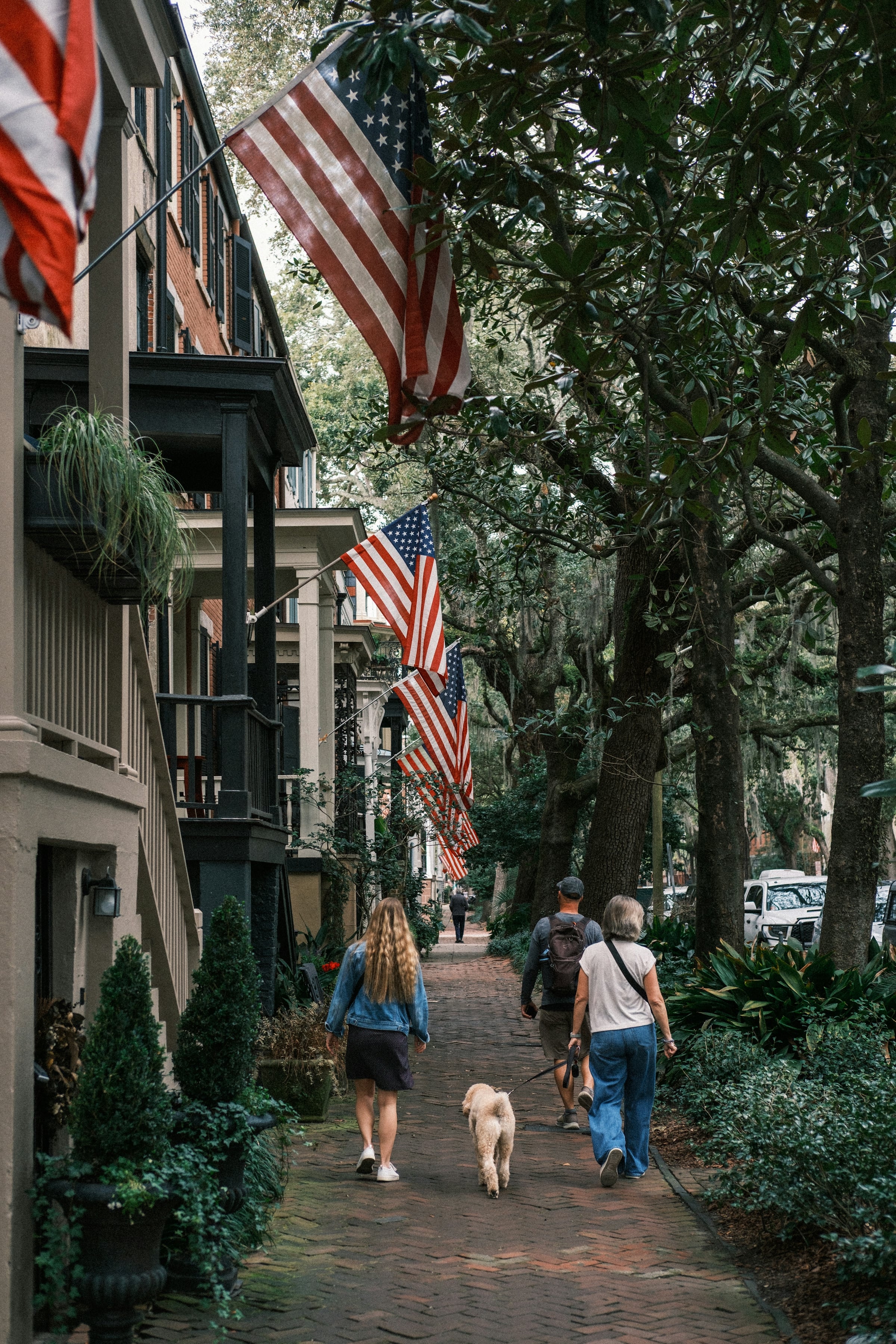 A shaded street of attached brick and painted rowhouses with United States flags on the porch posts and two people walking a dog on the sidewalk.