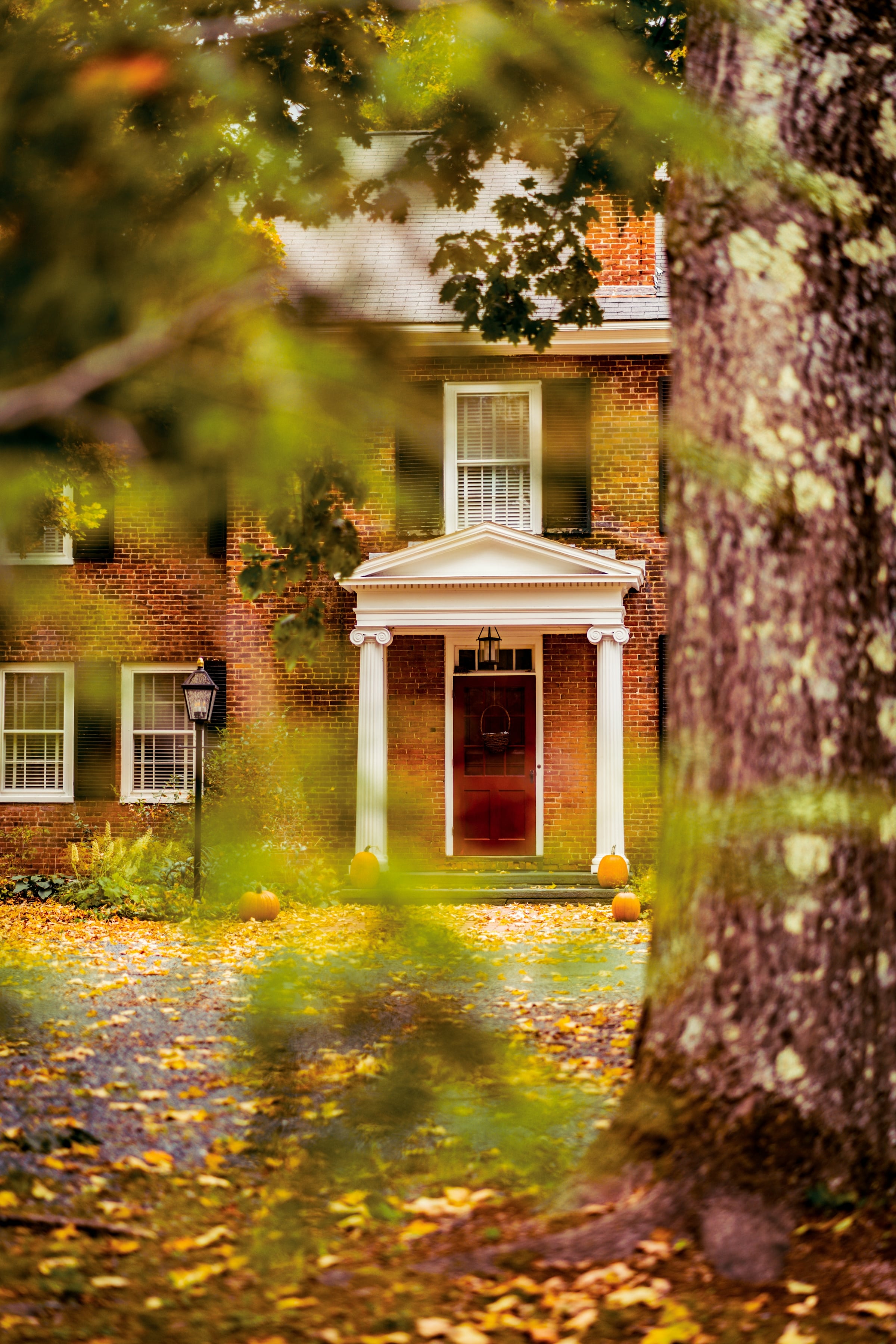 Red brick colonial house with a white portico and a red front door in autumn