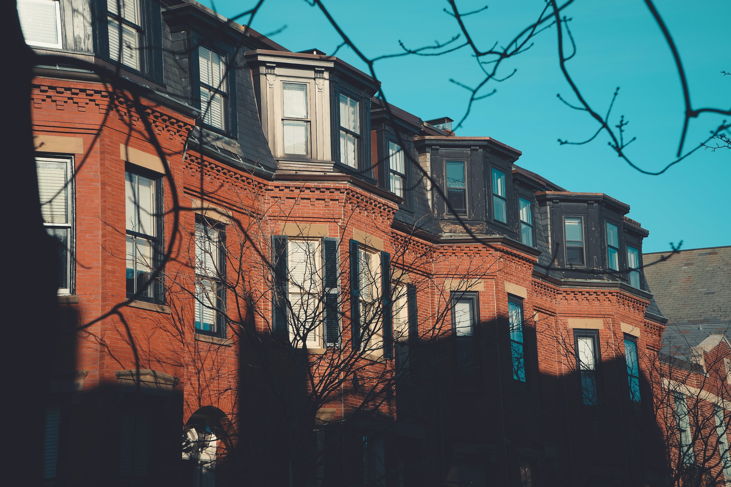 A terrace of brick rowhouses with projecting bay windows beneath a bare winter tree