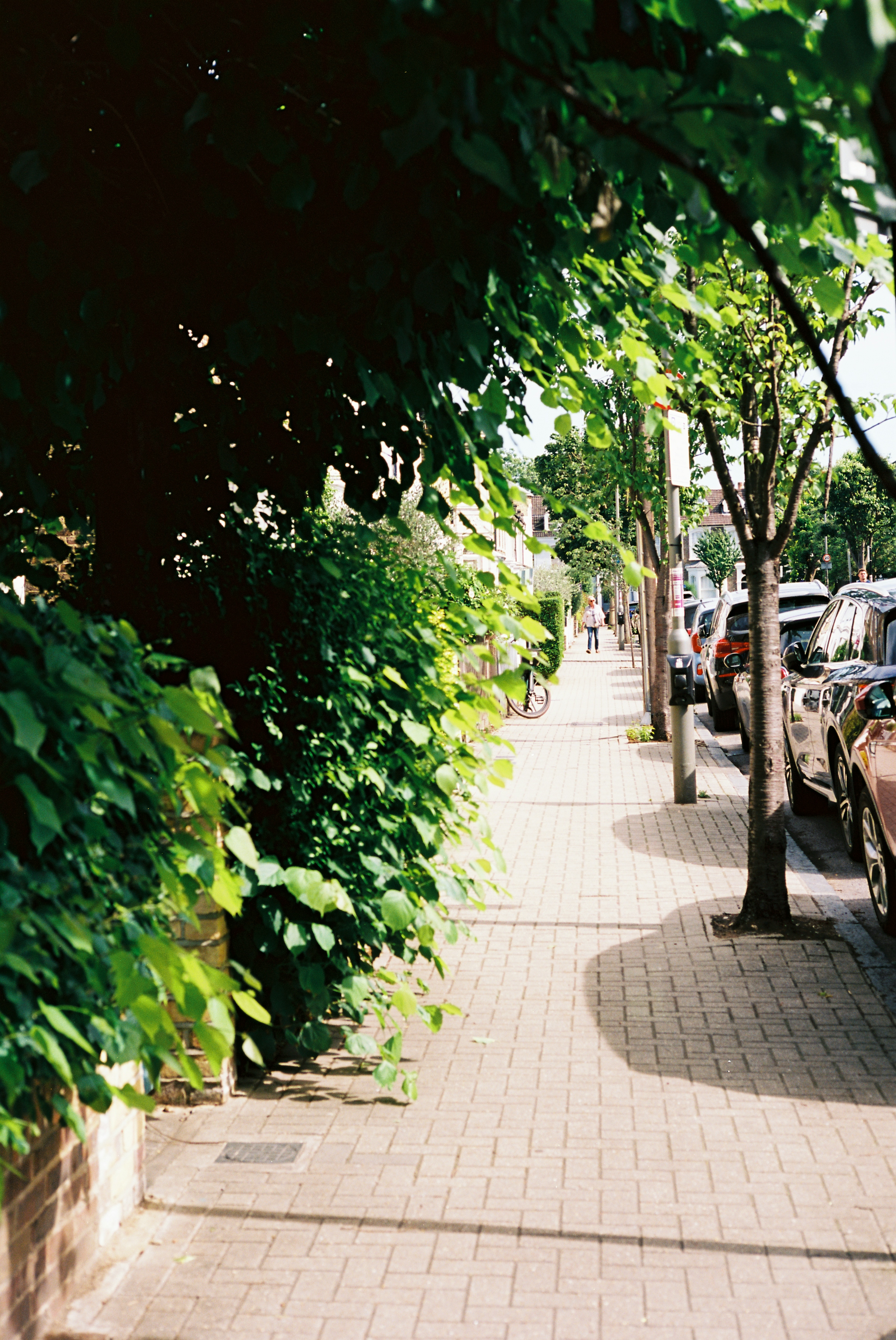 A brick sidewalk running beside parked cars under a canopy of green street trees, with people walking in the distance.