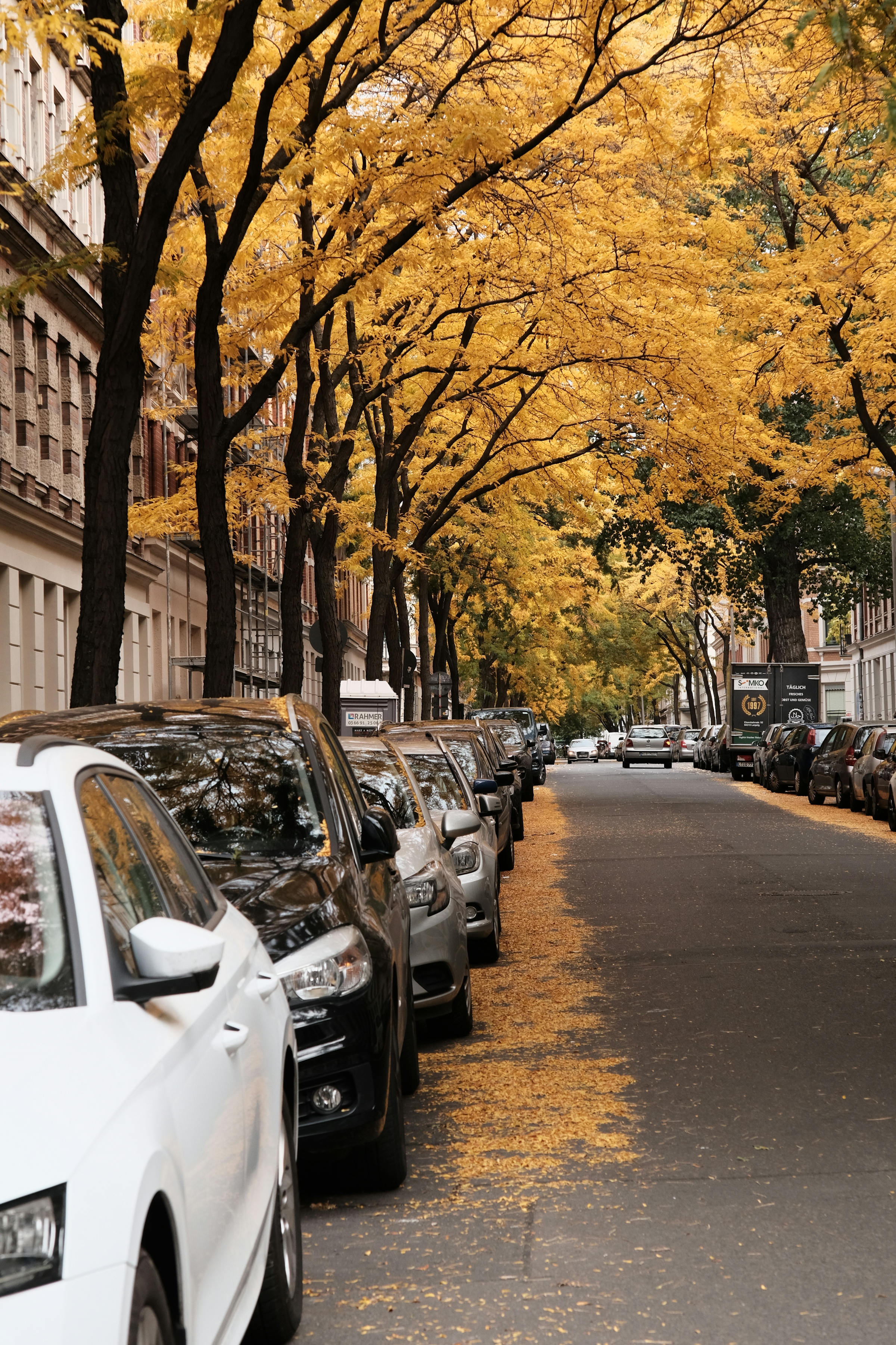 Brick townhouses along a street lined with autumn trees and cars parked at the kerb