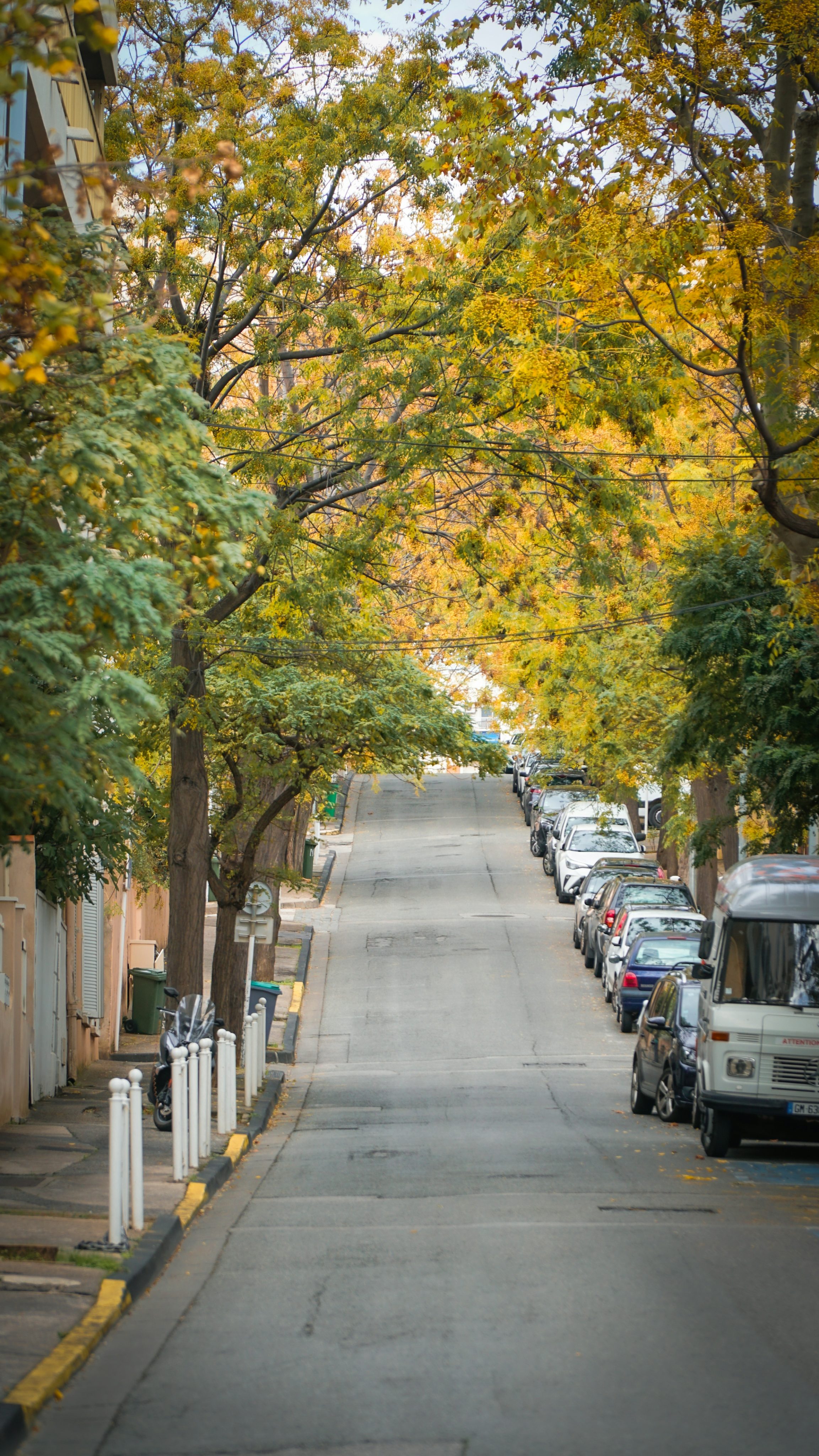 Richmond VA Real Estate Market Update: July 2026 Trends, Prices, and F&hellip;