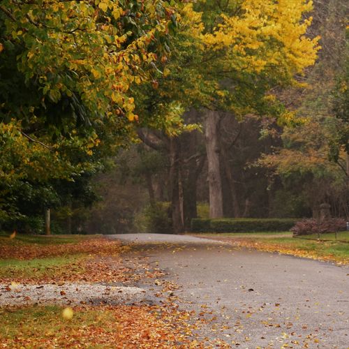 Powhatan County Real Estate Market Update - Richmond VA 2026: Inventory, Prices & Trends