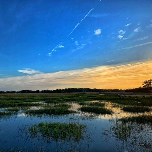 Day Trip From Richmond to the Northern Neck: Bald Eagles, Stratford Hall, Reedville and River Towns