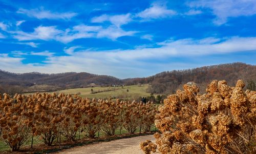 Day Trip From Richmond to Orange County: James …