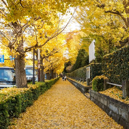 Atlanta to Richmond VA: How Your Housing Budget, Commute, and Pace of Life Change