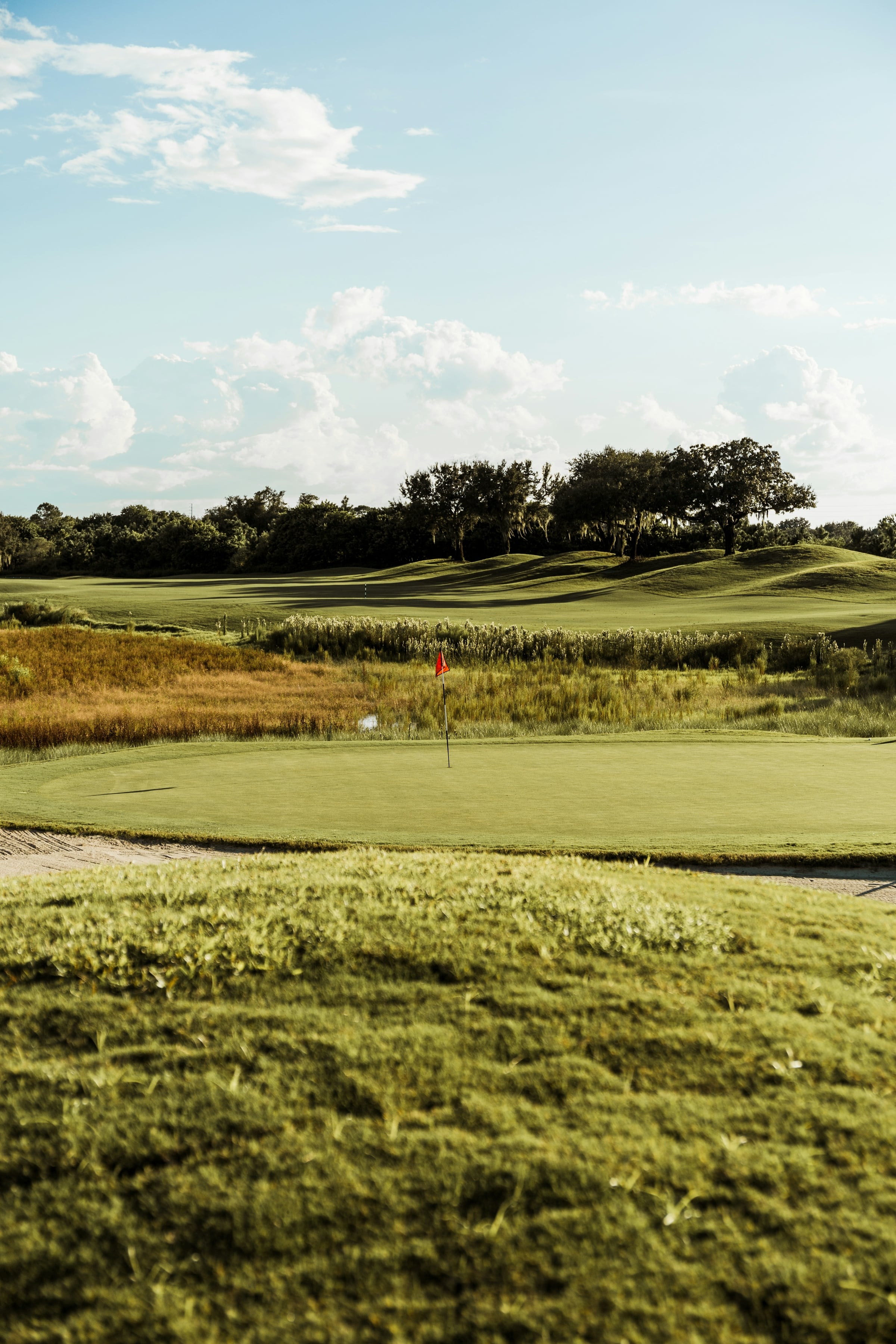 A golf course fairway and green with rough grass in the foreground and a tree line behind.
