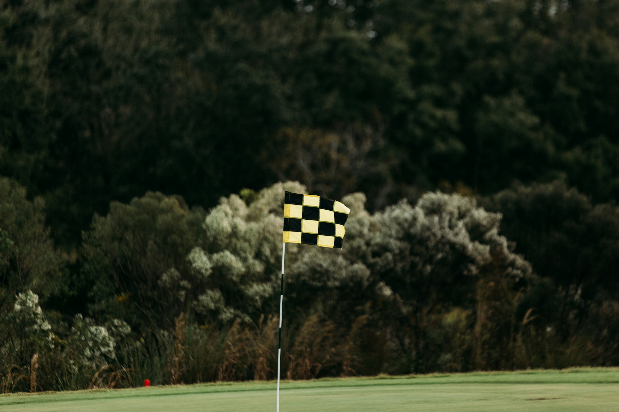 A black and yellow checkered flag on a golf green, with dense trees behind.