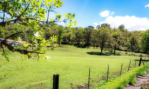 Rose Retreat: Plans Submitted to Revive a 45-Lot …