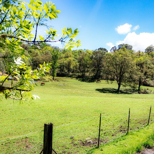 Rose Retreat: Plans Submitted to Revive a 45-Lot Goochland Subdivision First Proposed in 2007