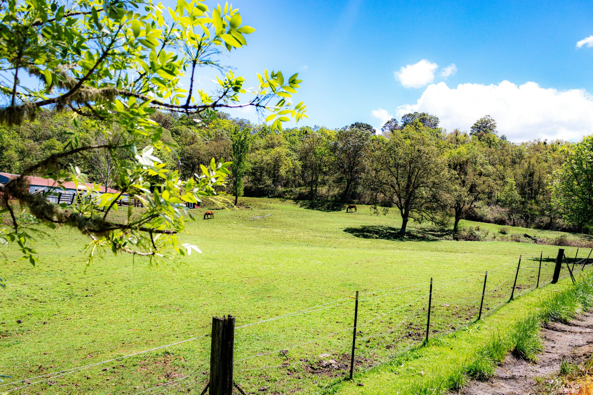 Rose Retreat: Plans Submitted to Revive a 45-Lot Goochland Subdivision&hellip;