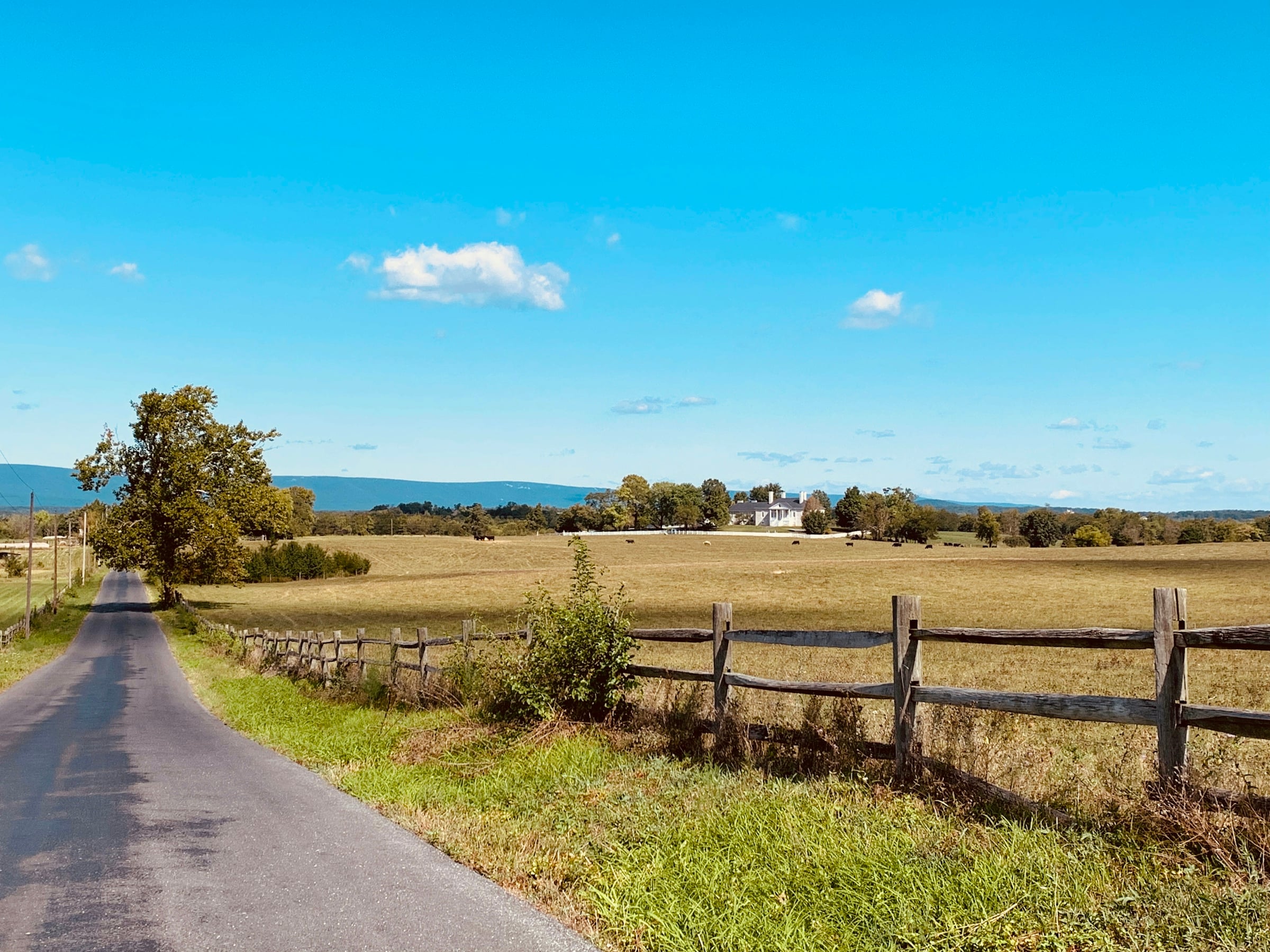 72 Lots Proposed Beside Ben Wallace's Goochland Farm: What Allston Sta&hellip;