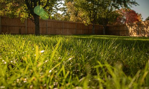 Best Richmond-Area Neighborhoods for a Big Yard or …