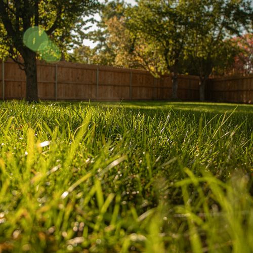 Best Richmond-Area Neighborhoods for a Big Yard or Large Lot