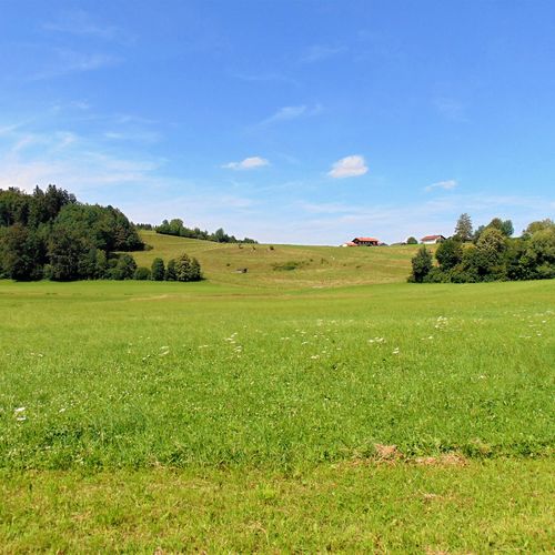 The GreenCity Developer Has Filed for Chapter 7: What It Means for the 93 Acres Henrico Now Calls Best Products Reimagined