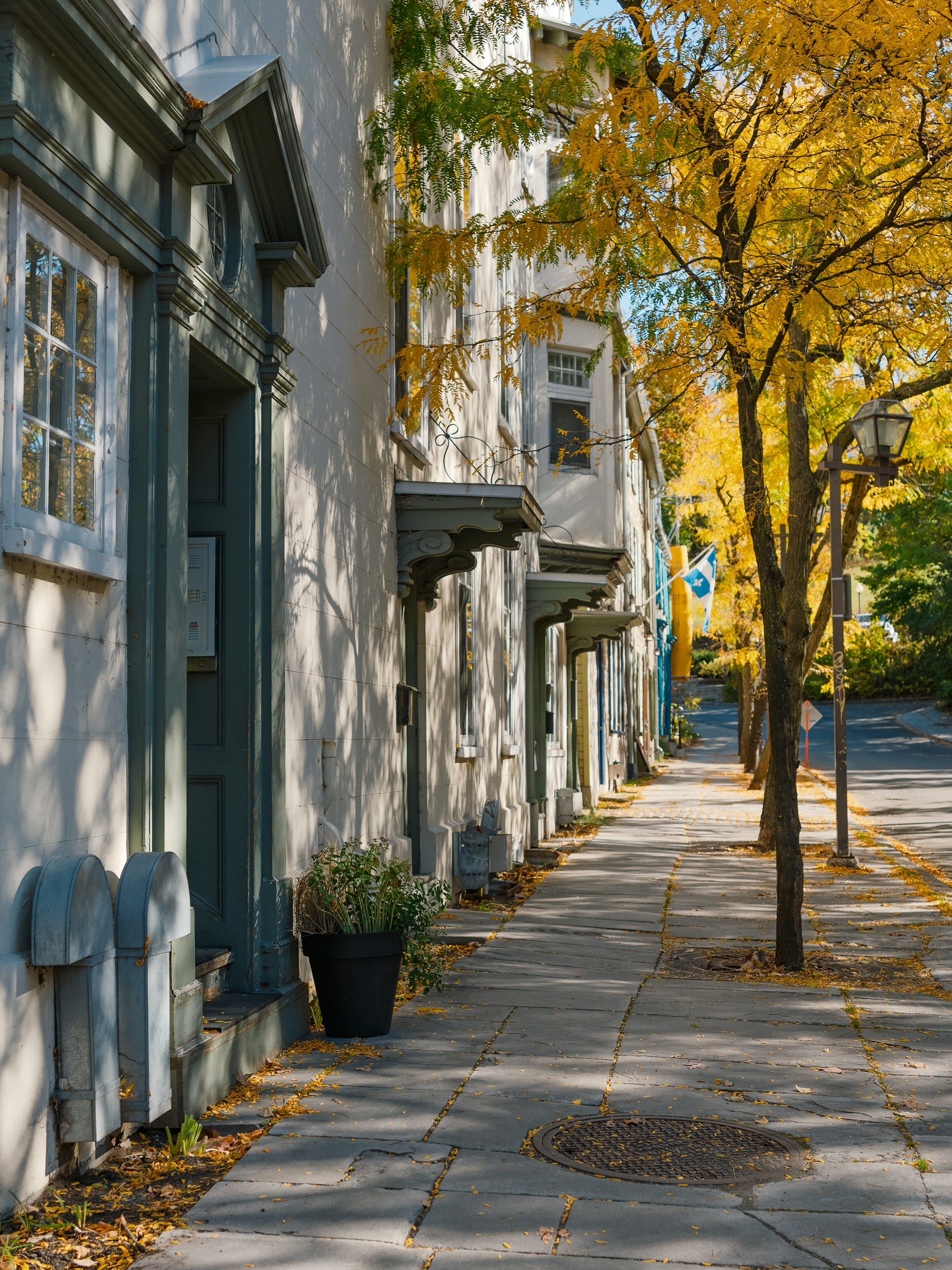 A row of historic townhouses along a tree-lined sidewalk with golden autumn leaves and a black cast-iron streetlamp.